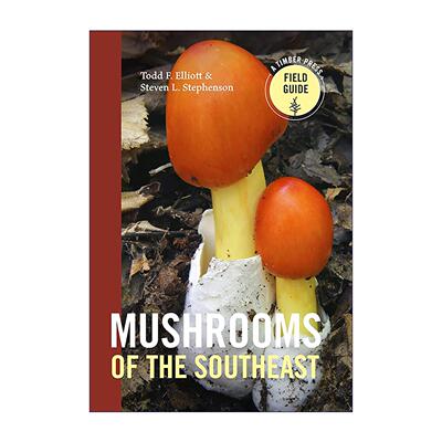 英文原版 Mushrooms of the Southeast 美国东南部蘑菇图鉴 超350个品种 英文版 进口英语原版书籍
