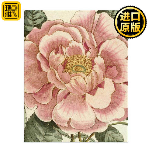 英文原版 John Derian Picture Book II 约翰德里安画集2 精装 英文版 进口英语原版书籍