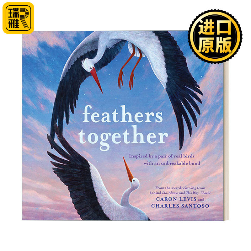 Feathers Together 永远在一起 儿童动物故事精装绘本 Charles Santoso