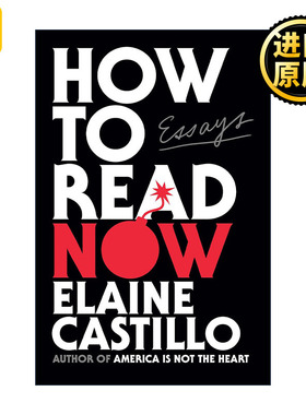 How to Read Now 现在如何阅读 文学比较与批评 Elaine Castillo 精装
