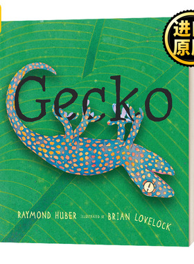 Gecko 壁虎 英文原版 精装 5-9岁儿童动物科普读物 Raymond Huber 纯全英文版正版原著进口英语书籍