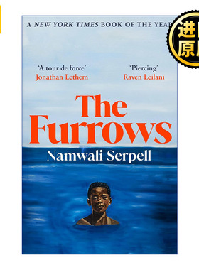 The Furrows 皱纹 亚瑟·克拉克奖作家Namwali Serpell 纽约时报2022十大好书