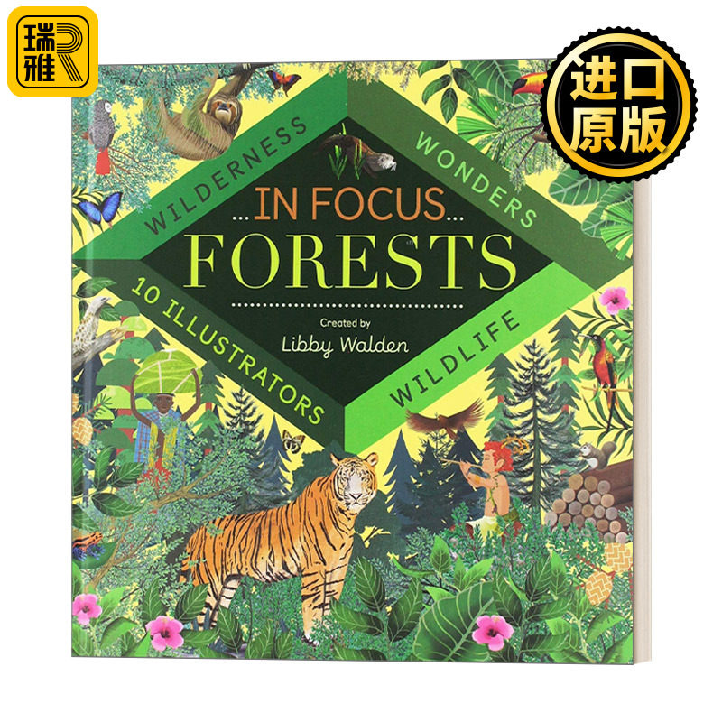 In Focus: Forests 专注 森林 精装 英文原版