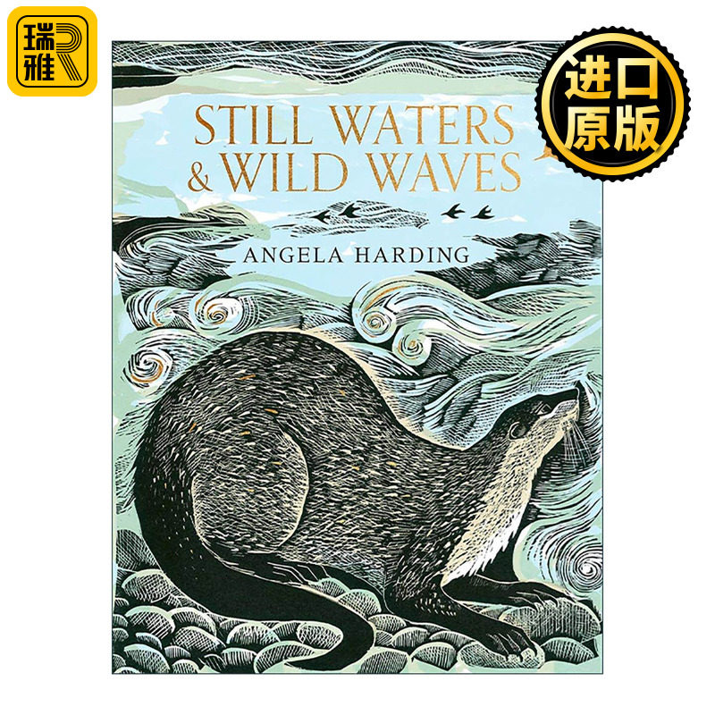 英文原版 Still Waters & Wild Waves 静水与狂浪 英国水域绘记 版画家之旅 艺术插画设定集精装 Angela Harding 进口英语原版书籍
