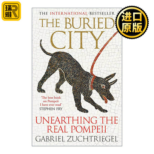 英文原版 The Buried City 湮没之城 庞贝古城的真实考古 人文历史 英文版 进口英语原版书籍