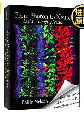 From Photon to Neuron 从光子到神经元 平装 英文原版