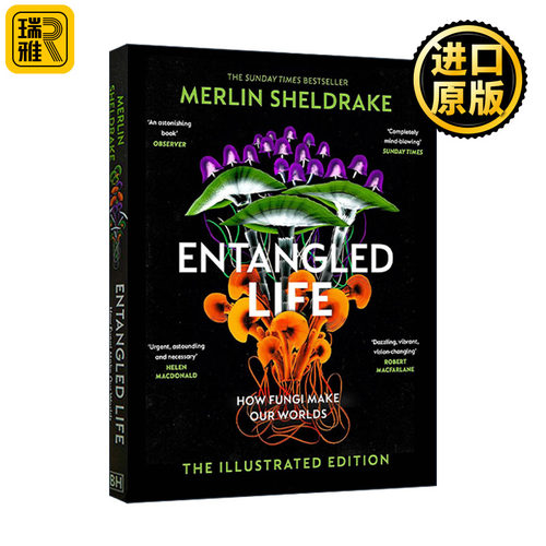Entangled Life (Illustrated Edition) 真菌世界 真菌微宇宙 精装插画收藏版
