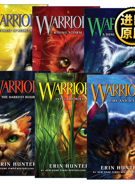Warrior Cats 猫武士首部曲6册 英文原版