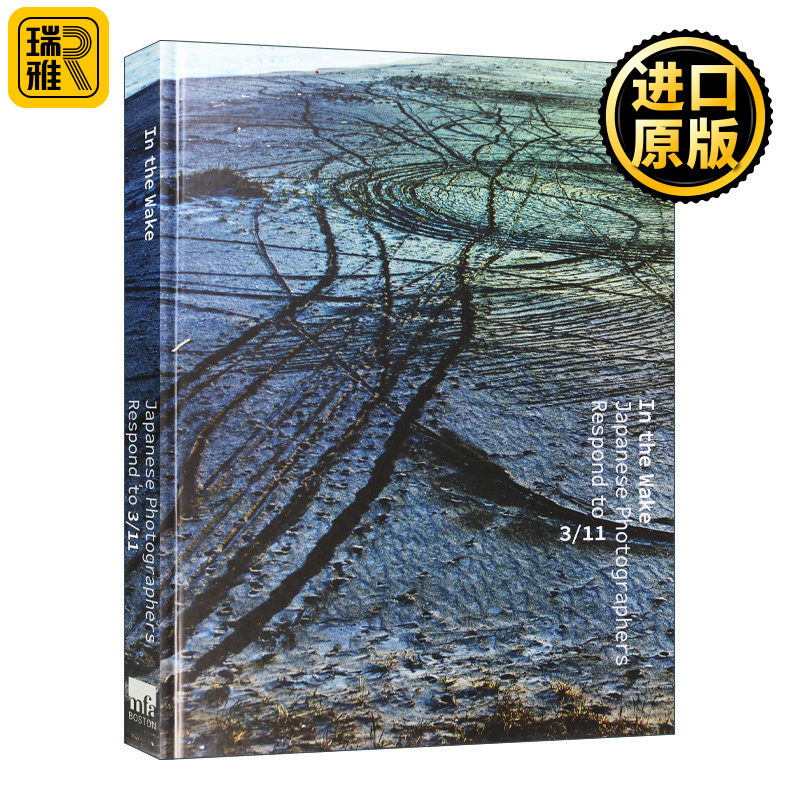 梦醒时分 关于3.11日本地震的摄影集 英文原版 In the Wake Japanese Photographers Respond to 3-11 精装 英文版 进口英语书籍