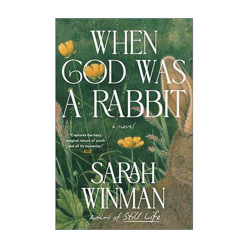 英文原版 When God Was a Rabbit 那时上帝是只兔子 莎拉·韦曼 英文版 进口英语原版书籍