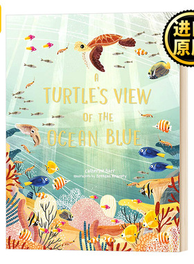 海龟眼中的海洋 A Turtle's View of the Ocean Blue Catherine Barr儿童绘本