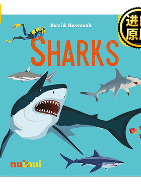 英文原版 Amazing Pop-Ups Sharks 鲨鱼弹出式立体书 儿童启蒙科普百科全彩精装绘本 英文版 进口英语原版书籍
