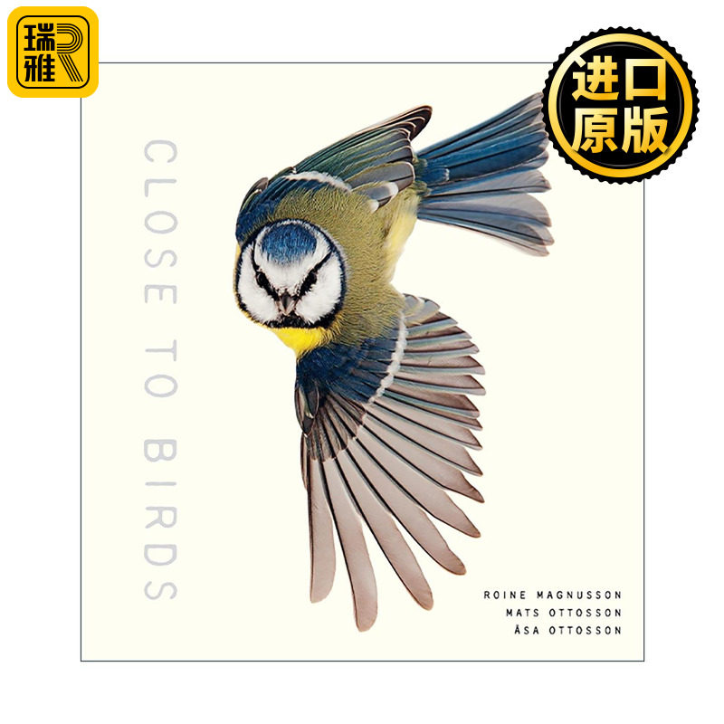 英文原版 Close To Birds 亲近鸟类 自然摄影与鸟类科普 精装 英文版 进口英语原版书籍