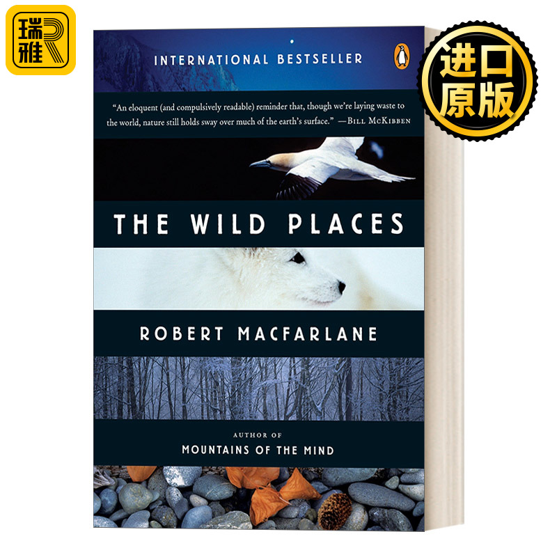 The Wild Places Landscapes     Robert Macfarlane