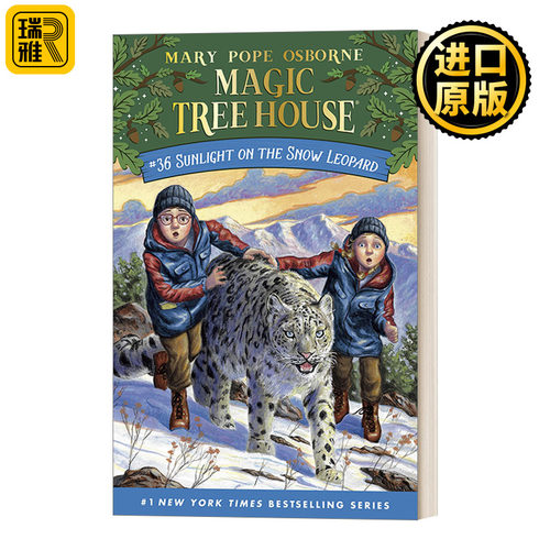 神奇树屋36 雪地上的阳光 英文原版 Magic Tree House Sunlight on the Snow Mth36 精装 儿童桥梁章节书 英文版 进口英语原版书籍