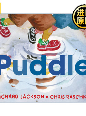 Puddle 水坑 凯迪克奖得主克里斯拉斯卡 精装绘本