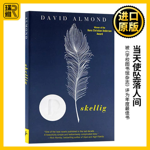 Skellig 当天使坠落人间 英文原版小说 2000年普林兹奖 青少年课外阅读小说 David Almond 戴维·阿尔蒙德 全英文进口英语书籍