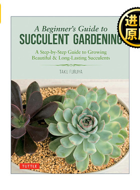 A Beginners Guide to Succulent Gardening Taku Furuya