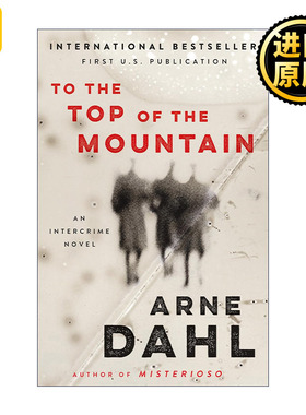 To the Top of the Mountain 到山顶去 犯罪推理小说 Arne Dahl