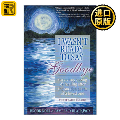 英文原版 I Wasn't Ready to Say Goodbye 我还没准备好说再见 爱人突然去世后的生存 应对和康复 更新版 Brook Noel 英文版