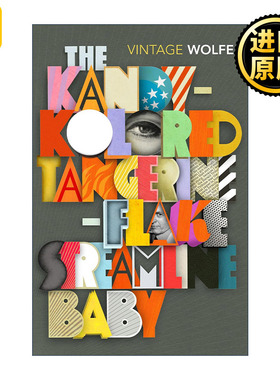 The KandyKolored TangerineFlake Streamline Baby 英文原版