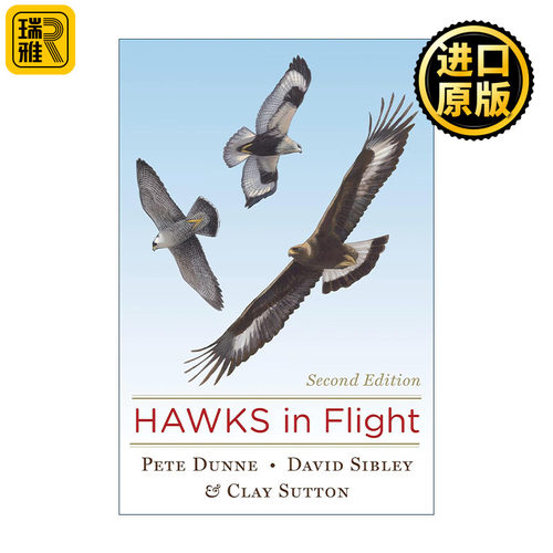 Hawks in Flight 飞行中的鹰 第2版 精装