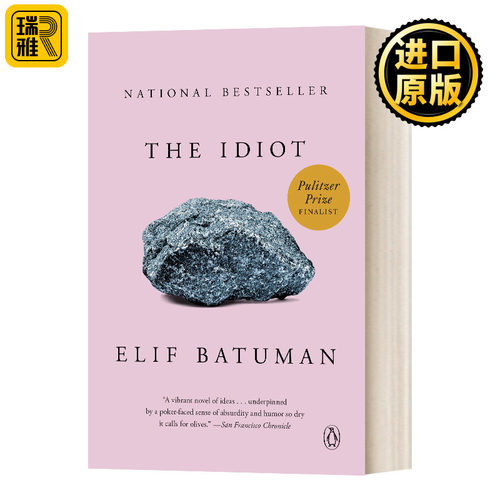 白痴英文原版小说书籍