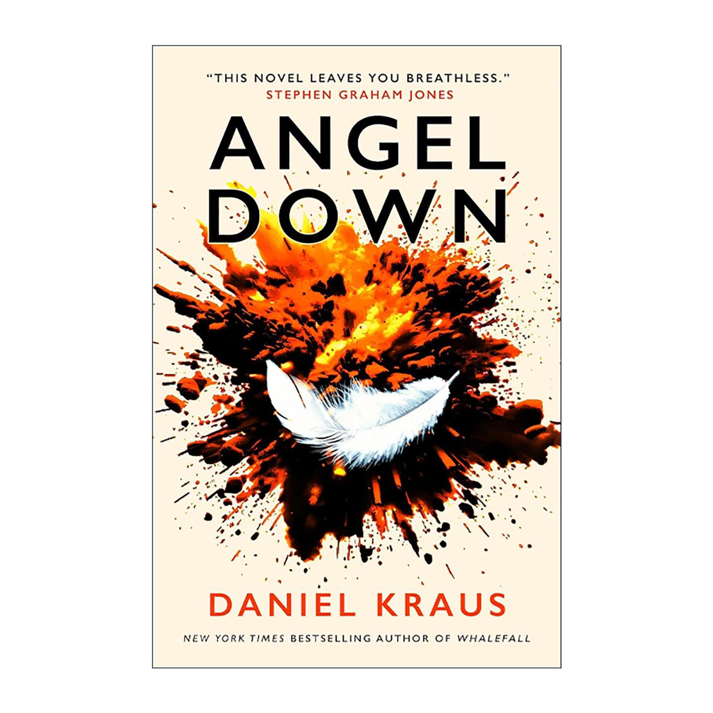 英文原版 Angel Down 坠落的天使 丹尼尔·克劳斯 纽约时报2025十佳图书 英文版 进口英语原版书籍