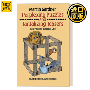 Puzzles 英文原版 and Teasers Tantalizing Perplexing