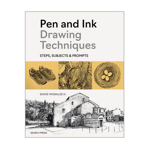 英文原版 Pen and Ink Drawing Techniques Steps Subjects & Prompts 钢笔墨水画技法 步骤 主题与创意提示 David Morales 英文版