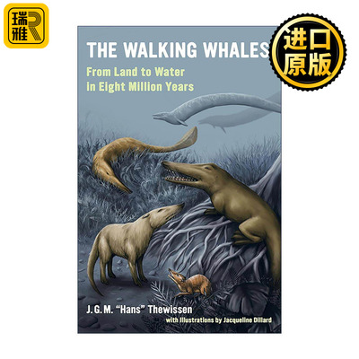 英文原版 The Walking Whales 行走的鲸鱼 从陆地到水中的800万年 生命科学 加州大学出版社 英文版 进口英语原版书籍