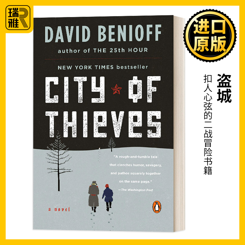 盗城进口英语原版书籍