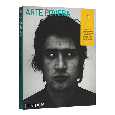 Arte Povera Abridged Edition 贫穷艺术 英文原版