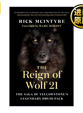 The Reign of Wolf 21 狼21的统治 黄石公园狼系列1 Rick McIntyre 自然科普百科