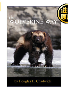 The Wolverine Way 貂熊之路 全球变暖 野生动物保护 Douglas H. Chadwick