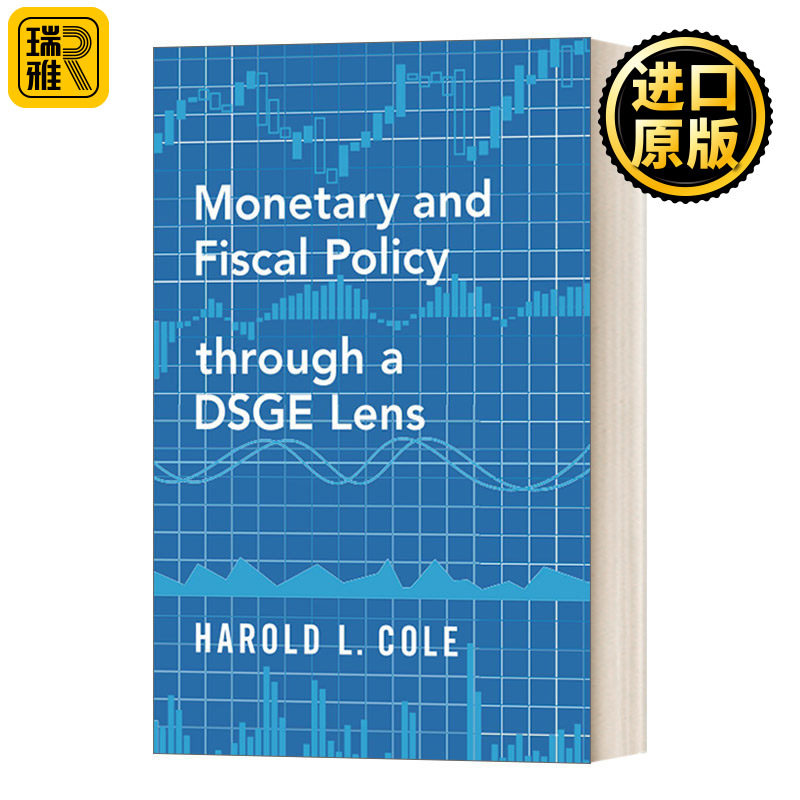 英文原版 Monetary and Fiscal Policy through a DSGE Lens 基于DSGE模型的货币与财政政策 英文版 进口英语原版书籍