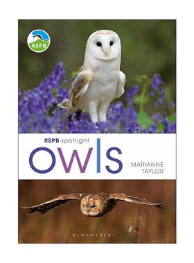 英文原版 RSPB Spotlight Owls 猫头鹰之书 英国皇家鸟类保护协会聚焦系列 英文版 进口英语原版书籍