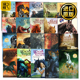 Walter Stallion Farley Black 现货The