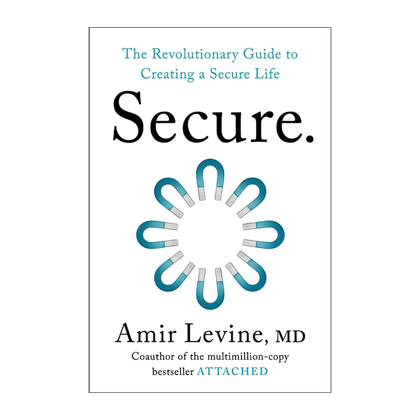 英文原版 Secure 安全型依恋 创造安全生活的实用指南 关系的重建作者阿米尔?莱文 精装 英文版 进口英语原版书籍