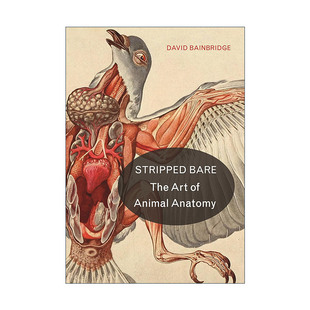 Stripped Bare 生命的艺术 动物解剖学的神秘历史之旅 精装 David Bainbridge