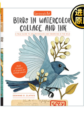 英文原版 Geninne's Art: Birds in Watercolor, Collage, and Ink