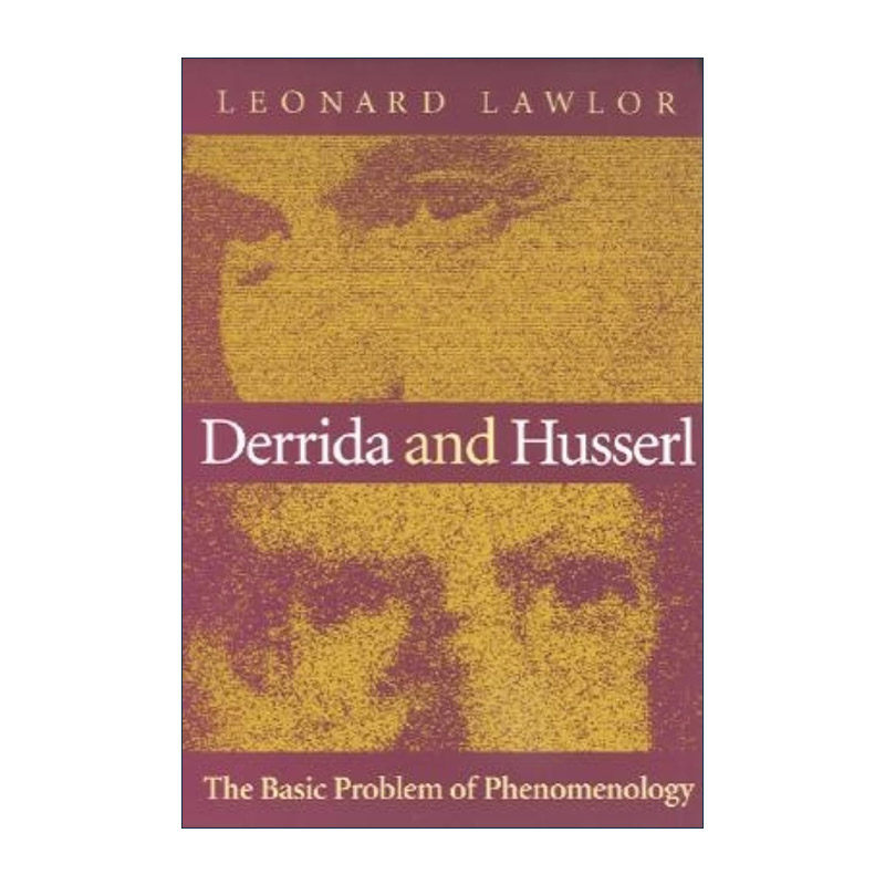 英文原版 Derrida and Husserl 德里达和胡塞尔 现象学的基本问题 英文版 进口英语原版书籍