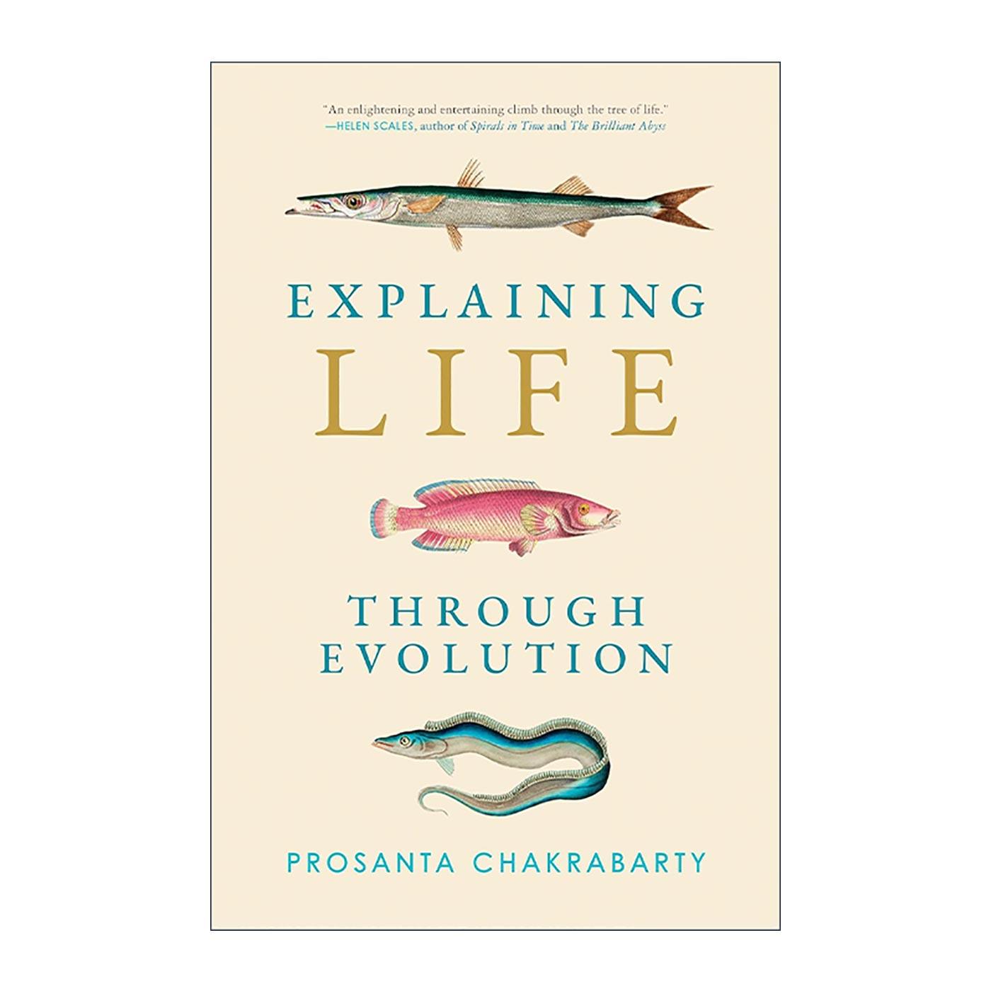 英文原版 Explaining Life through Evolution 用进化论解释生命 科普指南 英文版 进口英语原版书籍