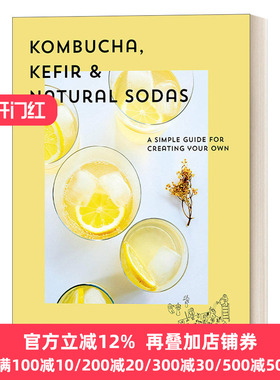 Kombucha Kefir Natural Sodas Nina Lausecker
