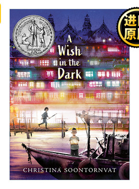 英文原版 A Wish in the Dark 闪闪发光的心愿 黑暗中的愿望 2021纽伯瑞银奖 精装 克里斯蒂娜·松托瓦