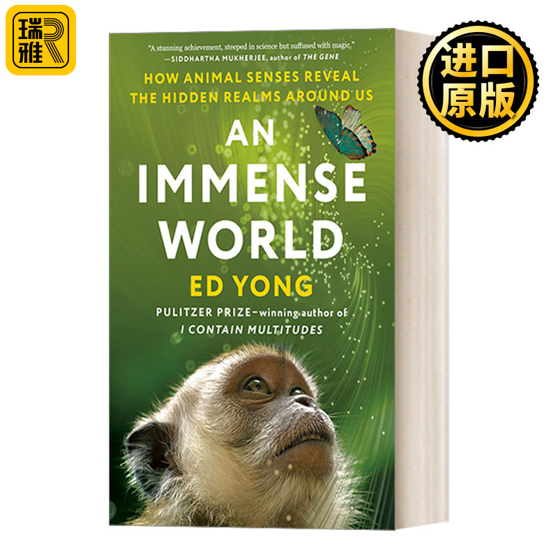 巨大的世界英文原版书籍