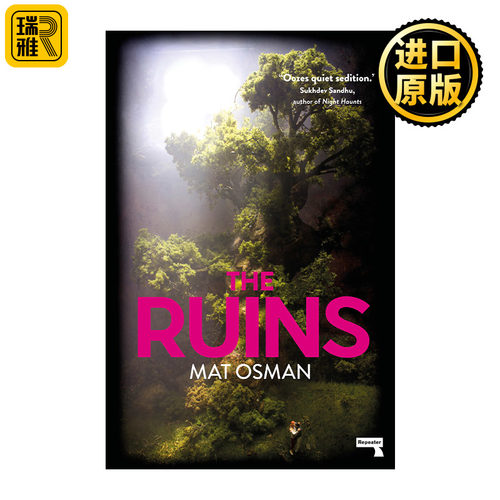 The Ruins 成名之日 一位摇滚歌手的两次非正常死亡 推理小说 Mat Osman