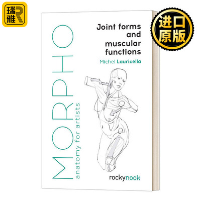 艺术家解剖学关节形式