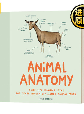 Animal Anatomy 动物解剖学 动物趣味图解 Sophie Corrigan