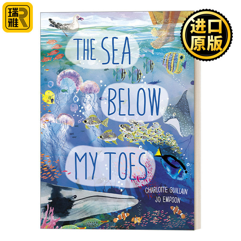 The Sea Below My Toes 海底有什么呢？眼前的海洋 超长拉页科普绘本
